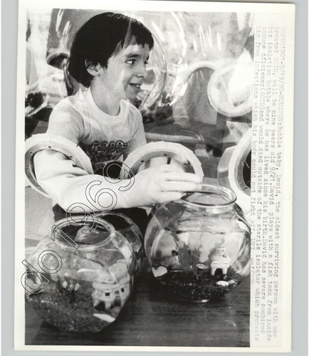 Bubble boy scid survivor - bubble,